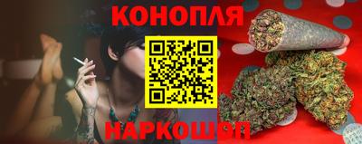 прущие крисы Изобильный